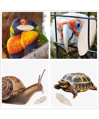 6 Pieces Bird Cuttlebone Toys Parrot Chew Calcium Toy Chewing Cuttlefish Bone with Metal Holder Bird Pet Molar Toy for Parrots Cage Birds Reptiles Tortoises Snails - Buy Online on SooperMarket.com