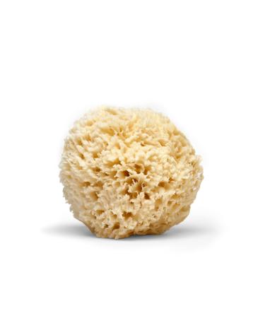 LATHER Natural Sea Wool Sponge | Self Care | Shower and Bath Sponge | Natural Loofah | Sea Sponge for Body Care | One Large Sea Sponge Perfect for Facial Cleansing and Body Wash Sponge