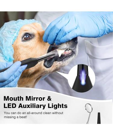 Dog Teeth Cleaning Tools with LED Light 3 Modes Dog Plaque Tartar Remover for Teeth Detachable Teeth Cleaning Kit for Dogs Cats Grey - Buy Online on SooperMarket.com