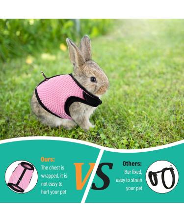 Buy Tibapla Adjustable Rabbit Dishes with Elastic Leash - Perfect Kitty & Small Animal Bowl - Pink (M) - Buy Online on SooperMarket.com