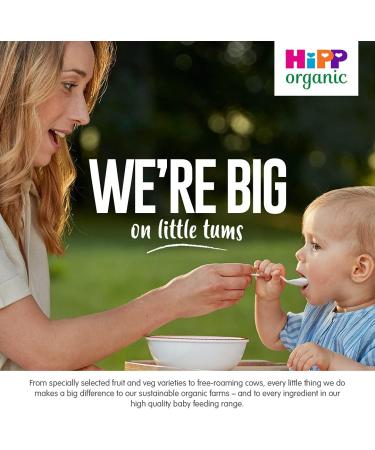 HiPP Organic Stage 1" From 6 Months" Creamy Porridge 160 g (Pack of 4) - Buy Online on SooperMarket.com