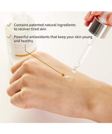 iUNIK Facial Serum Trio: Tea Tree Relief, Propolis Vitamin Synergy, Black Snail Restore - 1.71 Fl Oz Each - Buy Online on SooperMarket.com