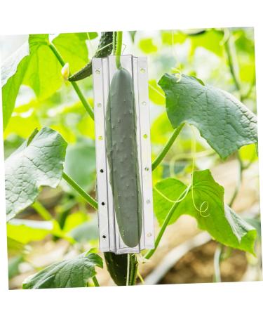 Gogogmee 4pcs Garden Cucumber Star Candy Shaped Growth and Plangting Vegetables Rigid Growing Vessel - Buy Online on SooperMarket.com