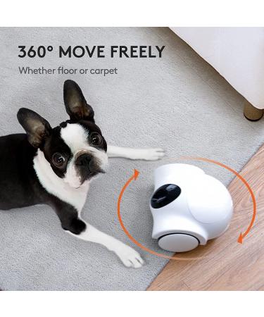 GULIGULI Smart Pet Camera: 1080P Full HD WiFi, Night Vision, 2-Way Audio, No Monthly Fee | Dog Treat Camera & Movable Companion Robot for Pets | Phone App Controlled (2.4G WiFi ONLY) - Buy Online on SooperMarket.com