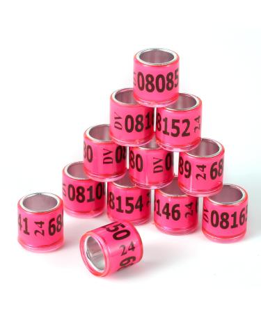 100PCs multicolor aluminum pigeon leg rings Tauben leg rings identify tapes plastic with 2024 DV training identify birds footring rose red