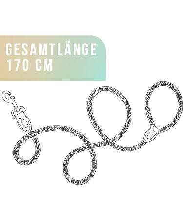Premium 1.7m Dog Leash for Large Dogs - Durable Braided Training Rope | Sage Green - Buy Online on SooperMarket.com