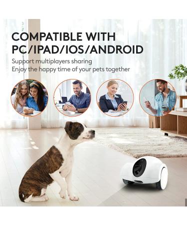 GULIGULI Smart Pet Camera: 1080P Full HD WiFi, Night Vision, 2-Way Audio, No Monthly Fee | Dog Treat Camera & Movable Companion Robot for Pets | Phone App Controlled (2.4G WiFi ONLY) - Buy Online on SooperMarket.com
