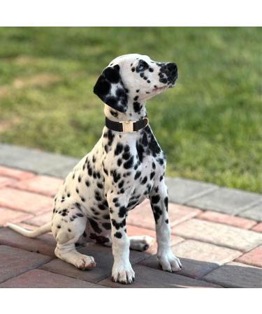 YUDOTE Ultra-Soft Cotton Dog Collar for Small Dogs with Sensitive Skin - Black S (1 Pack) - International Shipping Available - Buy Online on SooperMarket.com