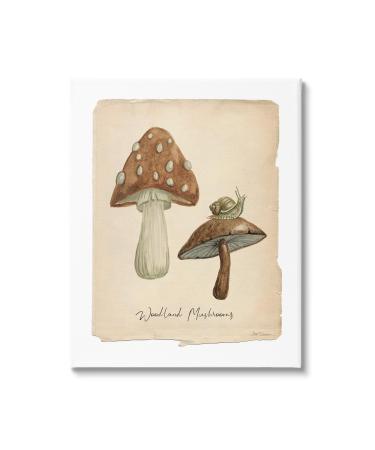 Stupell Industries Woodland Mushrooms & Snail Canvas Wall Art by Carol Robinson 24 x 30