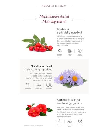 Buy Mongdies Maternity Rose Aroma Multi Oil - 200ml | Powerful Moisturizing Oil for Face & Body | Elastic Skin Solution | International Shipping - Buy Online on SooperMarket.com