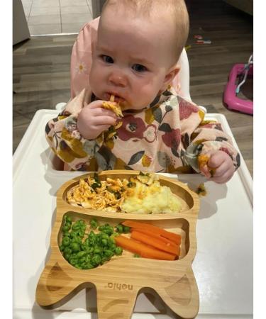 Nohla Luna The Unicorn Bamboo Baby Weaning Suction Plate - Spill-Proof 100% Bamboo & FDA Silicone - Pink - Ideal from 6 Months - Buy Online on SooperMarket.com