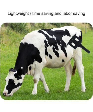 Glomora Cow Brush - Premium Hair Care Rake Comb for Livestock Cattle Sheep & Horses | Anti-Itch Tool for Healthy Shiny Fur - Buy Online on SooperMarket.com