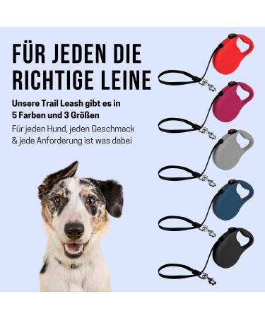 Buy High-Quality 5m Cong Roll-Out Dog Leash for Small Dogs up to 20kg - Compact Lightweight Break & Lock System - Ideal for Small Breeds - Black - Buy Online on SooperMarket.com