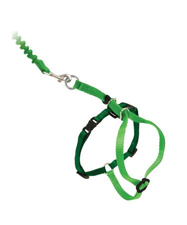 PetSafe Come with Me Kitty Harness and Bungee Leash Harness for Cats Large Electric Lime/Green ELECTRIC LIME/GREEN Large