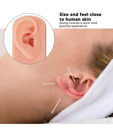 ZJchao 3Pcs Silicone Ear Model - 3 Colors Soft & Flexible Right Ear Simulation Display Props - Buy Online on SooperMarket.com
