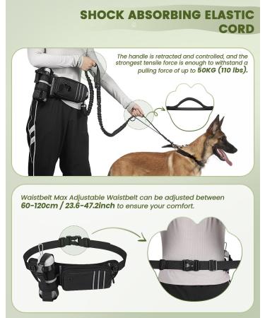 Premium Jogging Lines for Dogs - Dual Handle Leash with Belly Belt & Reflective Seams | Perfect for Medium & Large Breeds - Buy Online on SooperMarket.com