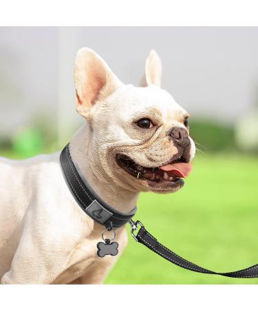 Joytale Softly Padded Neoprene Dog Collar for Small Dogs - Reflective Nylon Wide Collar - Black (1 Pack) - Buy Online on SooperMarket.com
