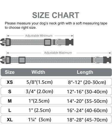 Joytale Reflective Dog Collar for Puppies - XS Grey | Safe & Stylish Pet Accessory (Pack of 1) - Buy Online on SooperMarket.com