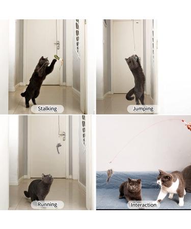 CZPET Cat Toys Set - Interactive Kitten Exercise Toys with Replaceable Door, Cat Teaser Stick, Puzzle Toys, Catnip Feather, and Mouse Toys - 9PCS - Buy Online on SooperMarket.com
