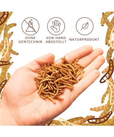 Buy Dried Flourworms 2kg - Protein-Rich Snack for Wild Birds Fish Reptiles & Rodents | International Shipping - Buy Online on SooperMarket.com
