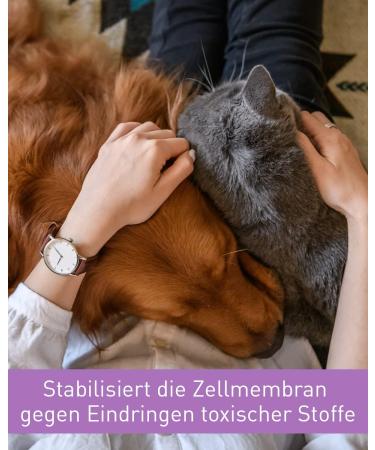 Lega Phyton 200 - Liver Support Tablets for Dogs & Cats | Silymarin Supplement | 24 Tablets - International Shipping Available - Buy Online on SooperMarket.com