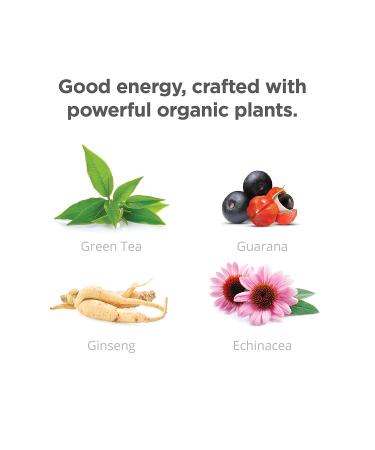 GURU | Original Plant-Based Energy Drink | Recharge with Good Energy from Green Tea | Natural & Organic Ingredients | Healthy Energy drinks to Help Stay Focused | Refreshing Taste | 8.4oz (Pack of 24) - Buy Online on SooperMarket.com