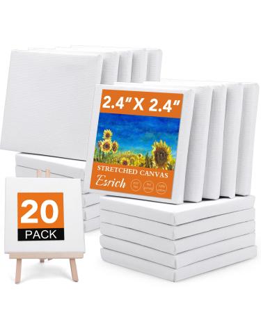 ESRICH Mini Stretched Canvas 20Pack 2.4*2.4inch 2/5''Profile Art Primed Canvases for Painting 100% Cotton Small Professional Stretched Canvas for Kids and Art Supplies for Acrylics Oils&Other Painting 20 Packs Stretched ...