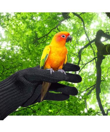 Alfyng Bird Training Anti-Bite Gloves for Small Animals Protective Chewing Gloves for Squirrels Hamsters Parrotlets Cockatiels Finches & Macaws (1 Pair) | Best International Shipping - Buy Online on SooperMarket.com