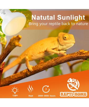 REPTI HOME Reptile Heat Lamp Bulbs 2 Pack 100W Heat Lamp for Reptiles E27 Basking Light Bulb for Vivarium Turtle Lizard Tortoise Bearded Dragon Puppy Chick - Buy Online on SooperMarket.com