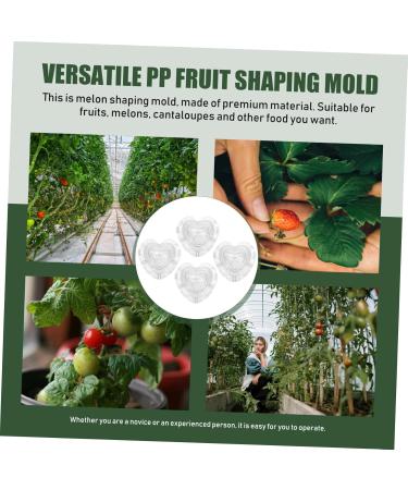 STOBOK 4pcs Melon Forming Gardening Major Molds Garden Design Plastic Fruit Heart Tools Small Strawberry - Buy Online on SooperMarket.com
