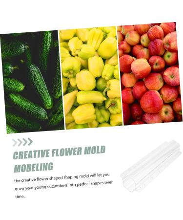 GANAZONO 4 Pcs Fruit and Vegetable Shaping Mold Fruit Stereotypes Cucumber Tool Heart-Shaped - Buy Online on SooperMarket.com