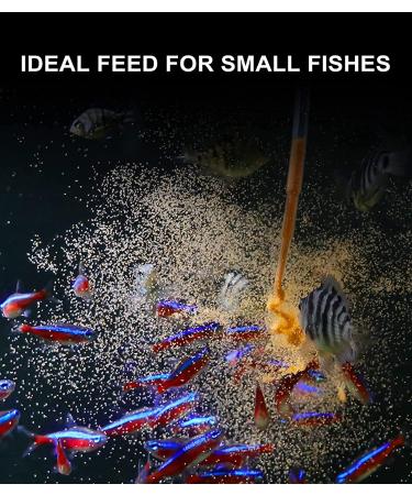 DIY Brine Shrimp Incubator Hatchery Kit - Clscea Aquarium Essential - Buy Online on SooperMarket.com