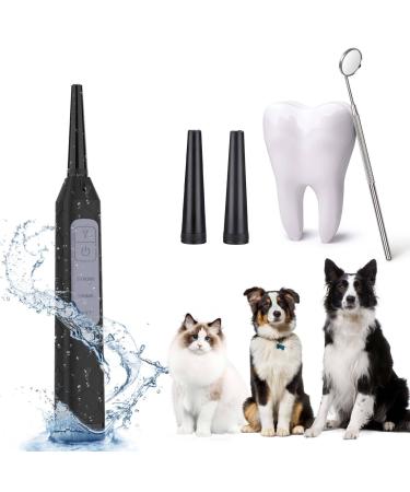 Dog Teeth Cleaning Tools with LED Light 3 Modes Dog Plaque Tartar Remover for Teeth Detachable Teeth Cleaning Kit for Dogs Cats Grey