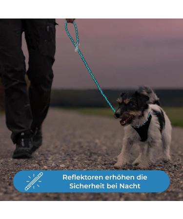 High-Quality Adjustable Dog Leash - 2m Reflective Weatherproof & Tearproof Paracord for Small to Large Dogs | Turquoise & Black | Up to 250kg Strength - Buy Online on SooperMarket.com