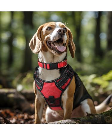 Buy Joytale Reflective Dog Collar for Large & XL Dogs - Red | Durable & Stylish (Pack of 1) - Buy Online on SooperMarket.com
