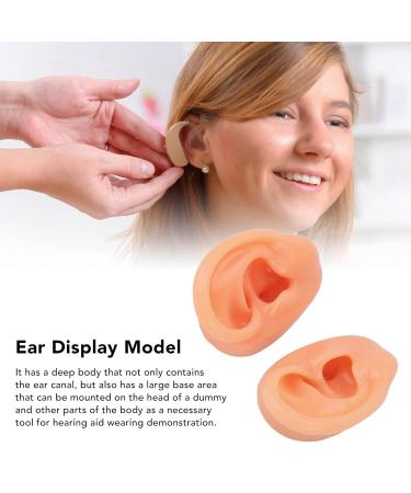 Waterproof Simulated Teaching Ear Model for Doctors - Long Lasting Artificial Ear - Buy Online on SooperMarket.com