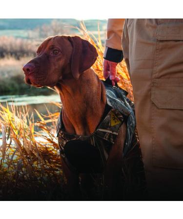 Browning Camo Neoprene Dog Vest | Realtree MAX-5 | Size Medium Realtree MAX-5 Medium - Buy Online on SooperMarket.com
