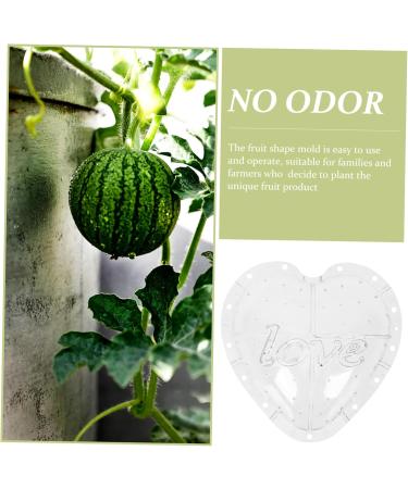 OSALADI Plant Plastic Fruit Clear Fruit Yard Fruit Fruit Forming Heart-Shaped Pumpkin - Buy Online on SooperMarket.com