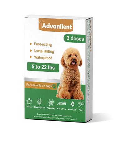 Natural Spot on Flea and Tick Treatment for Dogs Flea and Tick Prevention for Dogs Dog Flea Treatment Fast Acting & Waterproof 3 Pipettes (2-10kg Small Dogs)