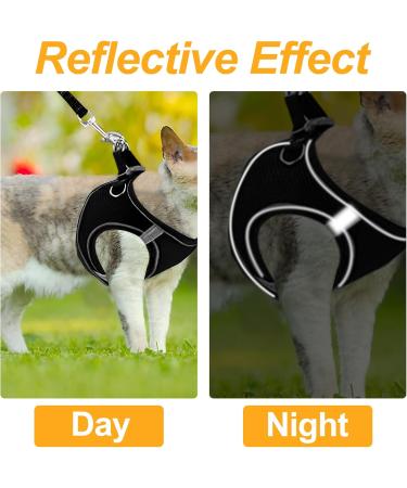 Frevoitna Cat Dishes with Leash - Adjustable Cat Harness Reflective & Breathable - Ideal for Walks (Black XS) - International Shipping Available - Buy Online on SooperMarket.com