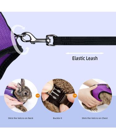 Niteangel Adjustable Soft Harness for Rabbit (L Purple) - Elastic Leash Included | Shop Internationally - Buy Online on SooperMarket.com