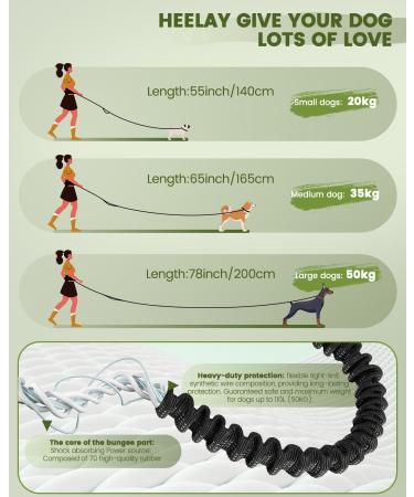 Jogging Lines for Dogs | Healay Belt Bag for Running Hiking & Leash | Reflective Double Handle for Large Medium Small Breeds - Green - Buy Online on SooperMarket.com