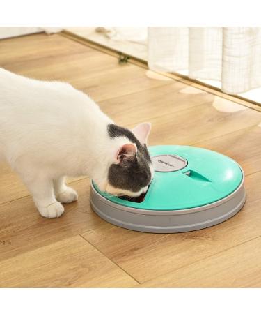 Amazon Basics Automatic Pet Feeder - 6 Portions Teal - Buy Online on SooperMarket.com
