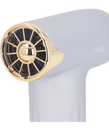 Alomejor Mini Fan - Portable Bladeless Hair Dryer for Pets | 4 Wind Levels 1100mAh Battery - Ideal for Cats & Dogs (Silver - Buy Online on SooperMarket.com