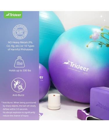 Trideer Dreamy Exercise Ball 65cm - Yoga Ball for Home Gym, Desk Chair - Fitness & Physical Therapy - Quick Pump Included - Buy Online on SooperMarket.com
