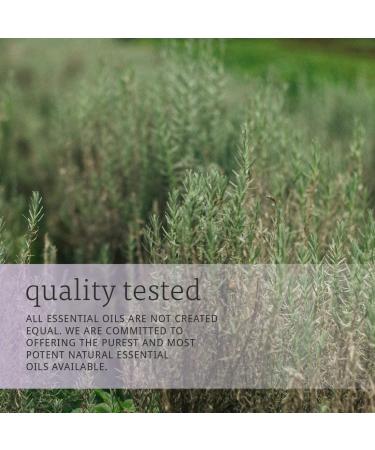 NOW Rosemary Essential Oil 2oz - 100% Pure & Natural Aromatherapy Oil - Buy Online on SooperMarket.com