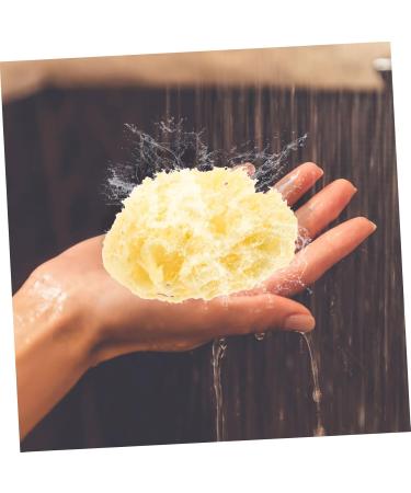 Gogogmee Moisturizer Natural Sponges for Bathing Natural Bath Sponge Sea Sponges for Shower Body Sponges Sponge for Shower Bathing Sponge Natural Sponges for Body Shower Sponge - Buy Online on SooperMarket.com