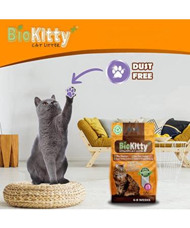 BioKitty Clumping Cat Litter Highly Absorbent Natural Mineral Bentonite Cat Sand Litter Scented Long Lasting Odour Control Cat Litter Cat Litter Clumping 10L (Baby Powder) Baby Powder Pack 1 - Buy Online on SooperMarket.com