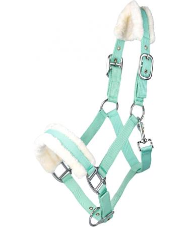 Shop RL24 Halter with Plush Padding - BASICLINE in 6 Colors for Shetland Pony Thoroughbred & Warmblood | Light Green Warmblood Edition - Buy Online on SooperMarket.com
