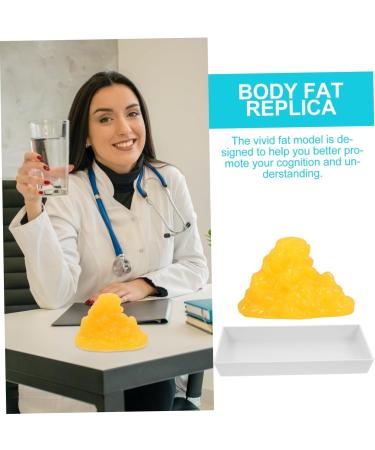 PLAFOPE Fat Model Models Teaching Model Maniquin Manikin 1-Pound Body Fat Replica Sports Fitness Base - Buy Online on SooperMarket.com
